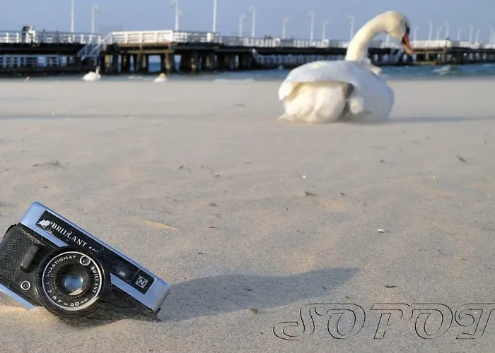 Perła Bałtyku - 4 Osobowy W Sopocie Sopot